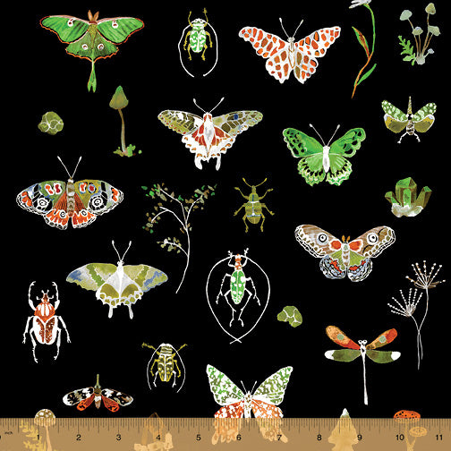 Curio by Betsy Olmsted for Windham Fabrics
