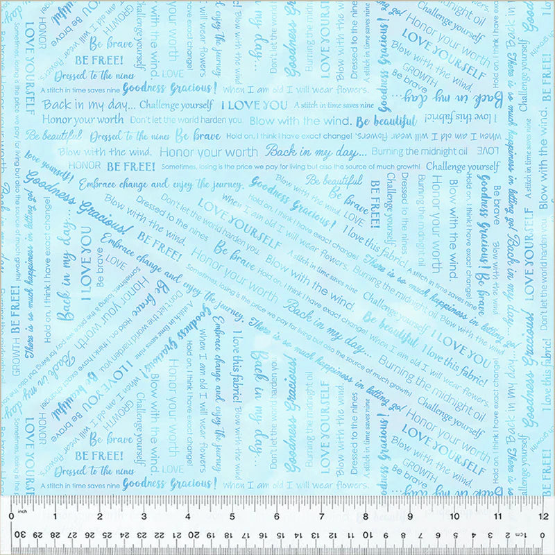Goodness Gracious - Pale Blue - 53917-21 by Windham Fabrics