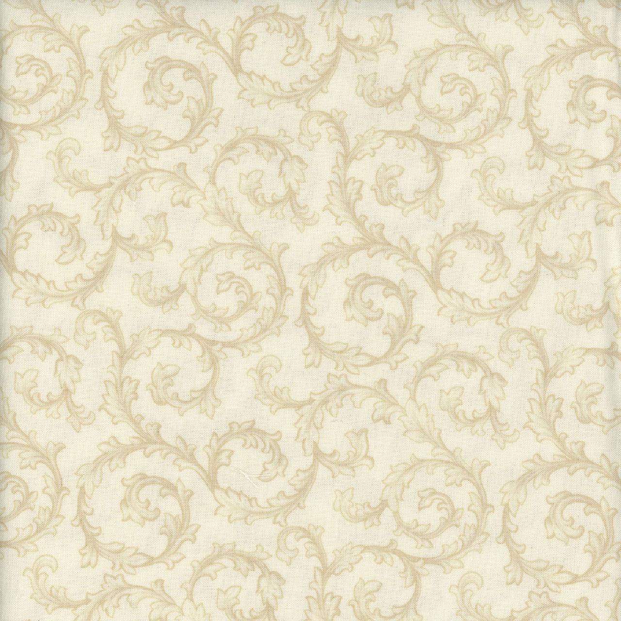 Midnight Meadow - Smithsonian Institution R650845 Cream by Marcus Fabrics