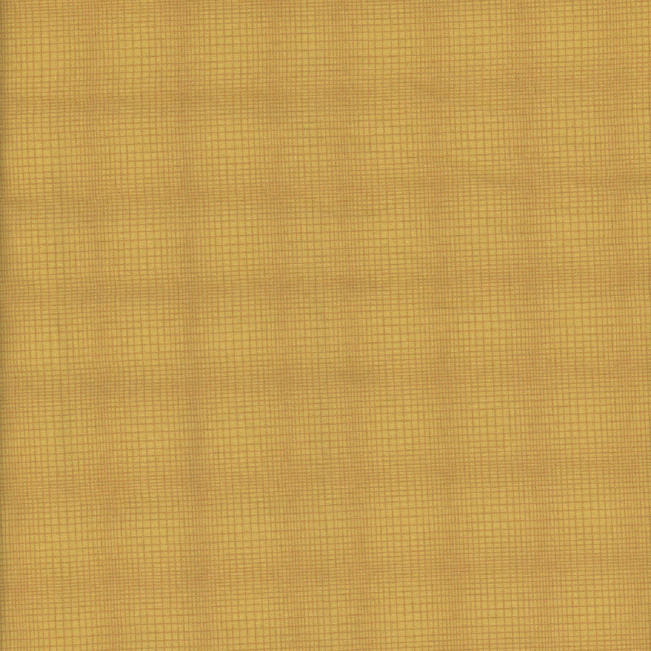 Woof and Warp - Gold/Yellow Grid R311128D Sheryl Johnson for Marcus Fabrics