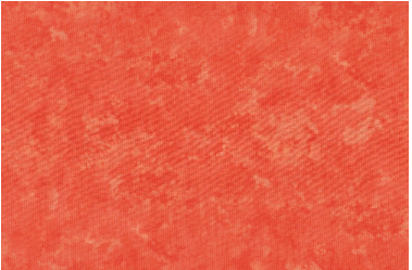 Tonal Orange by Fabric Traditions
