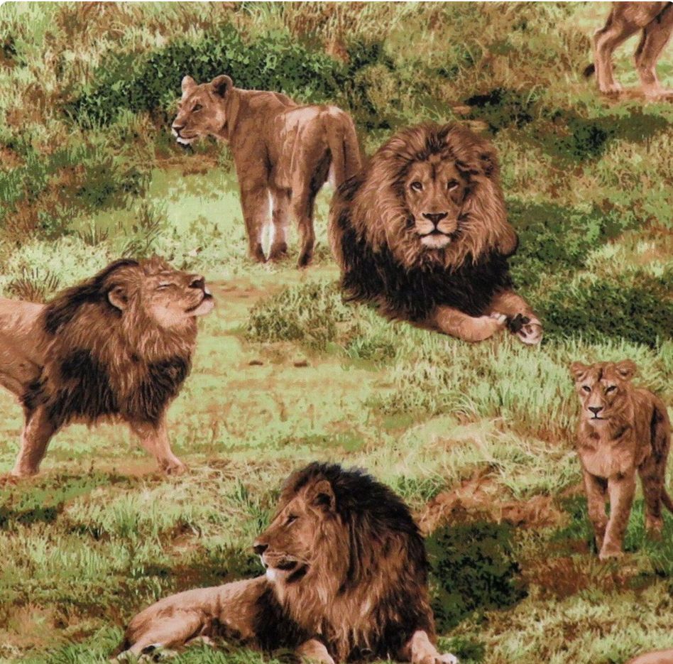Born Free - Lions Wildlife Nature Scene 112-31911 by Fabri-Quilt, Inc