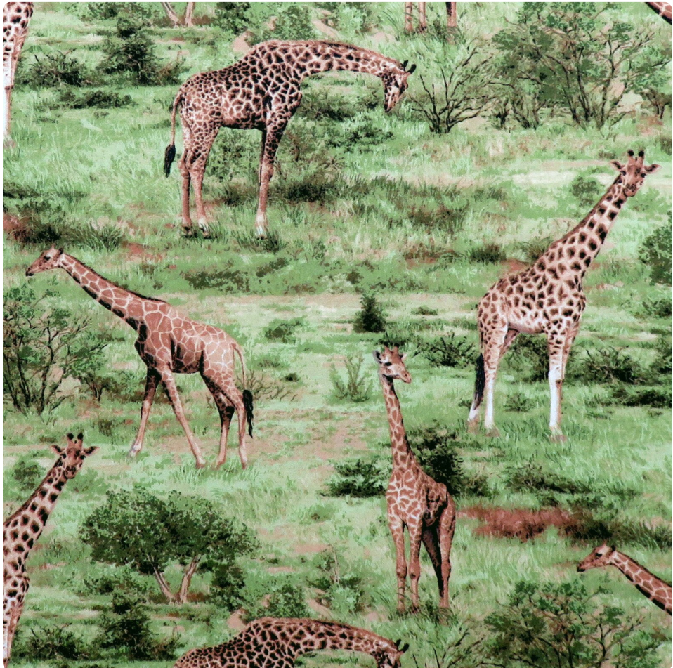 Born Free - Giraffe's Wildlife Nature Scene 112-31921 by Fabri-Quilt, Inc
