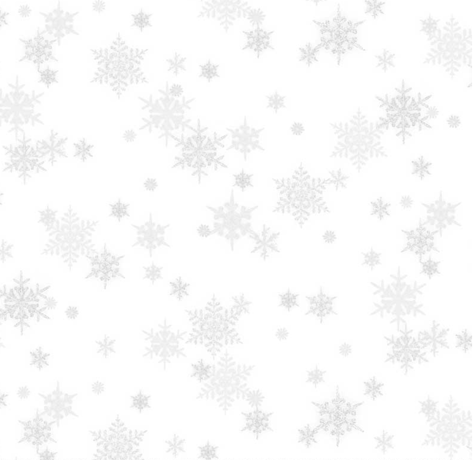 Snowfall 05445 by P & B Textiles