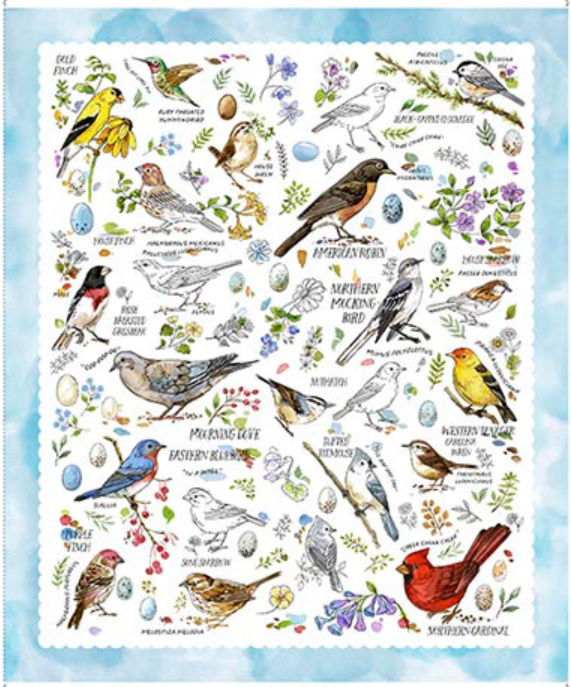 Drawn to Birds - 36" Sky Blue Panel 31133 -B by QT Fabrics - 021