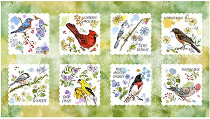Drawn to Birds - Bird Picture Patches Lt Green 31134-H by QT Fabrics - 025