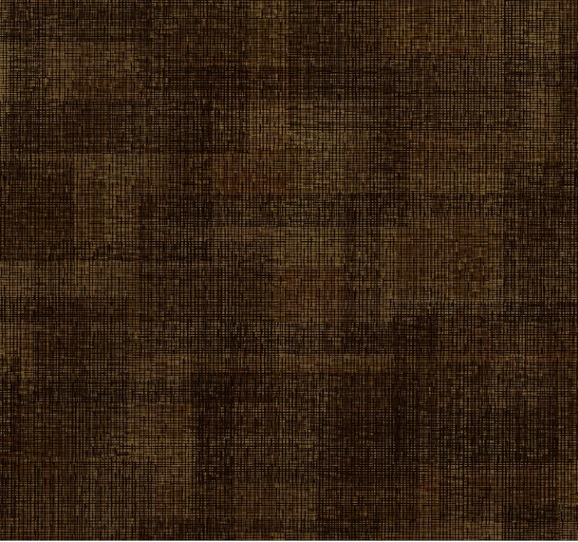 Interwoven - 1WVN37-Bark by Jason Yenter for In the Beginning Fabrics