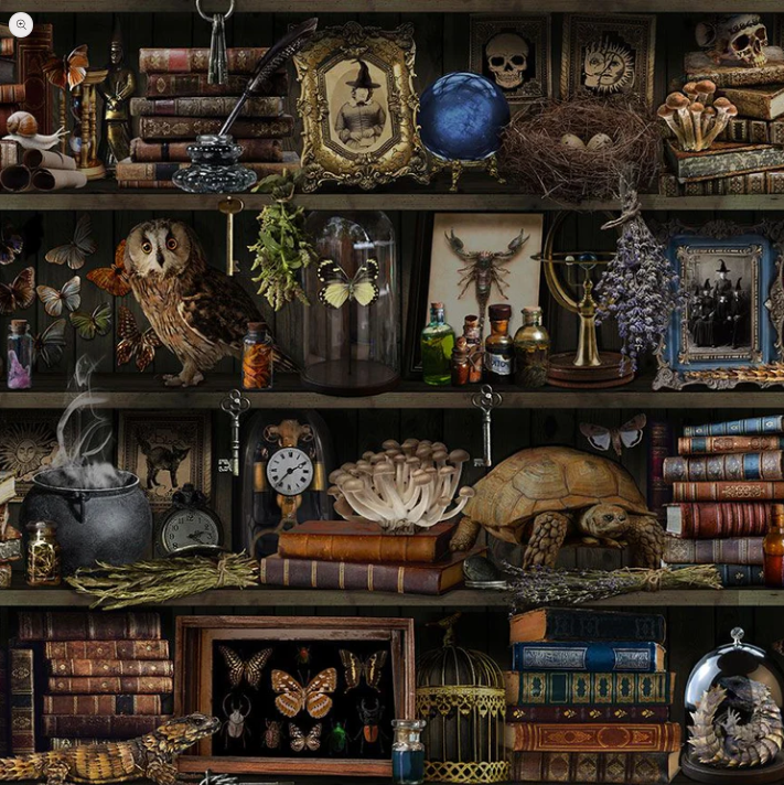 Mad Scientist - Witch Apothecary Book Shelf - Library CD2877 Brown by Timeless Treasures