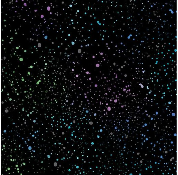 Dragonfly Wonder - Spatter Multi Black/Multi 16406P-12 by Benartex