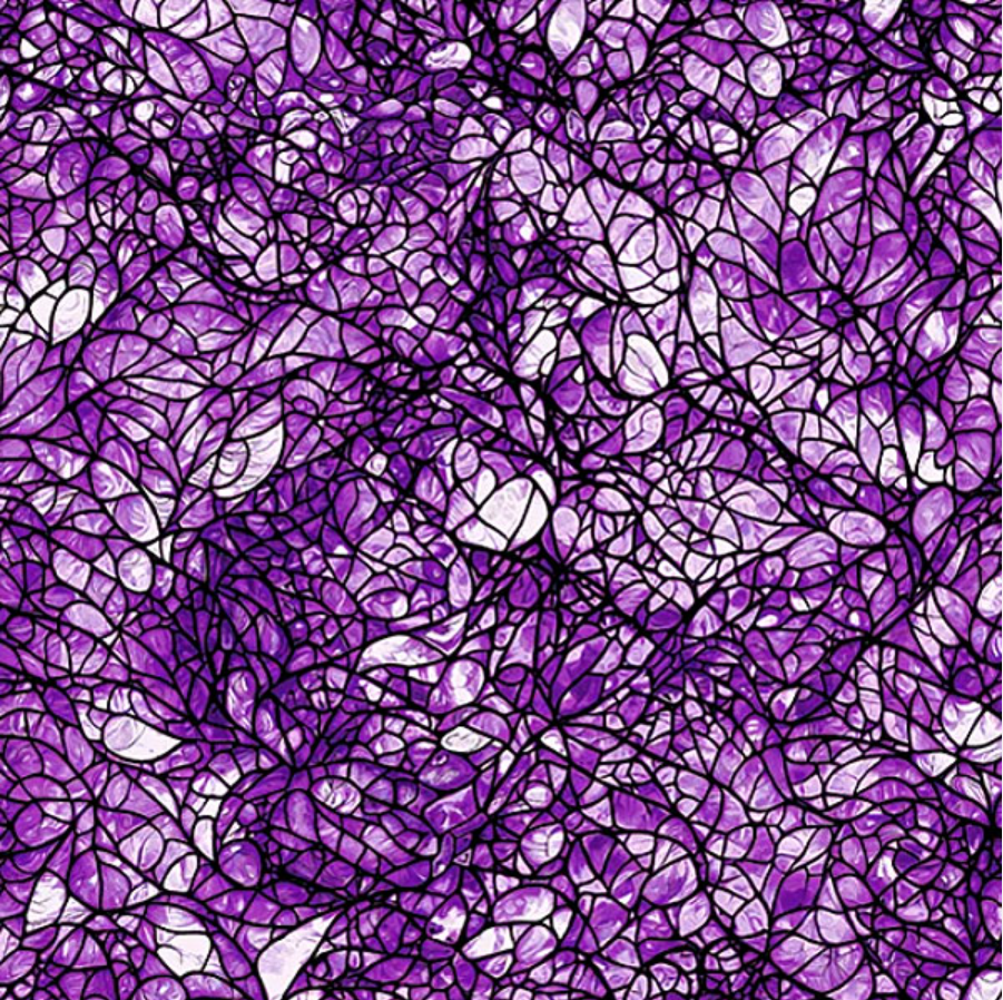Cat Artistry - Glassine Purple 16736-66 by Benartex