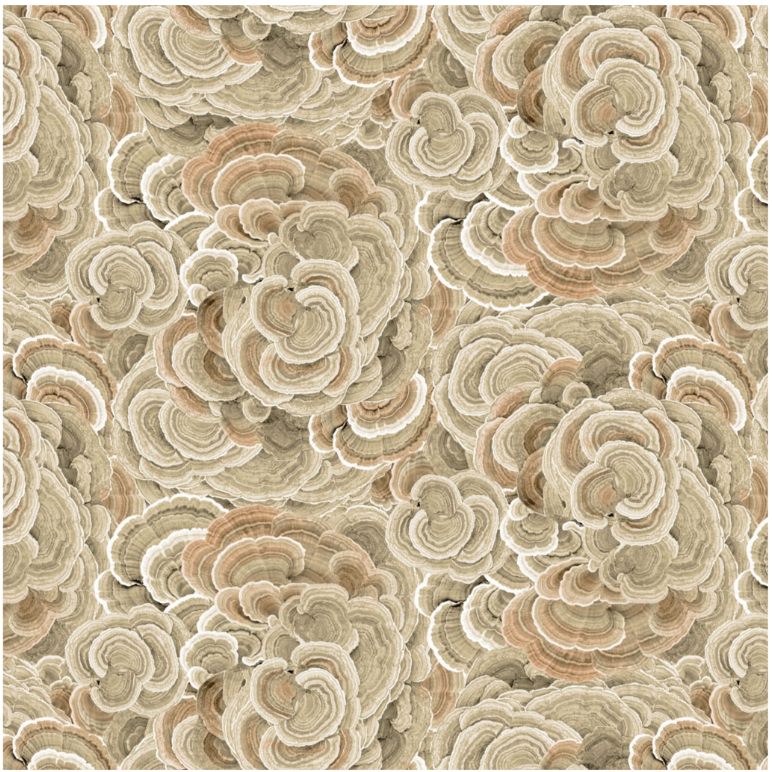 Nature Study - Turkey Tail Khaki Y4856-12 by Clothworks