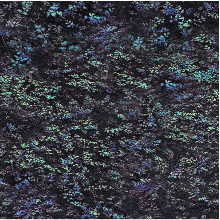 Nature Study - Foliage Navy Blue Y4858-53 by Clothworks