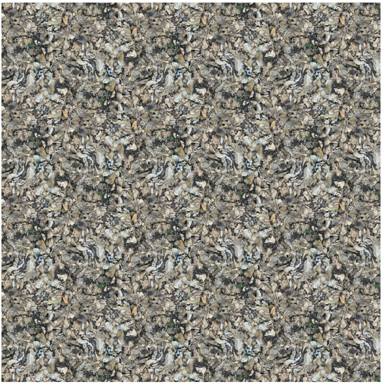Nature Study - Leaves Light Taupe Y4859-62 by Clothworks