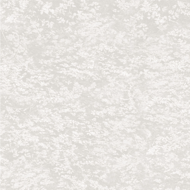 Nature Study - Moss Mist Gray Y4858-116 by Clothworks
