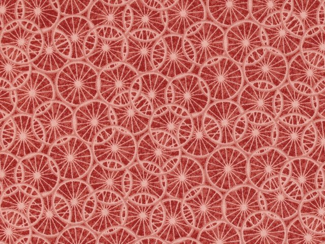 Secret Garden - Sweet Ride - Dark/Light Mauve by Oasis Fabrics