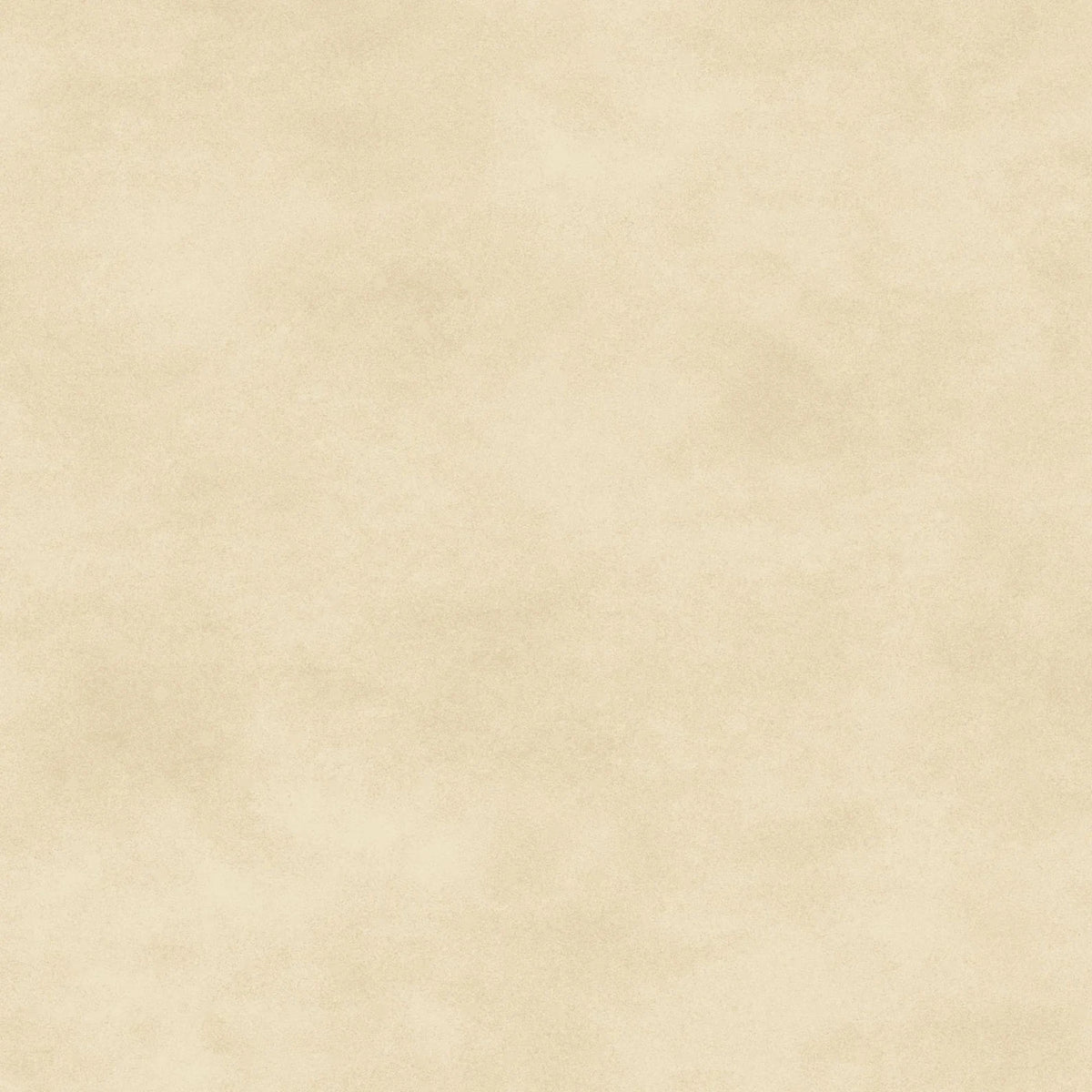 Shadow Play - Antique Cream MAS513-WT2 by Maywood Studio
