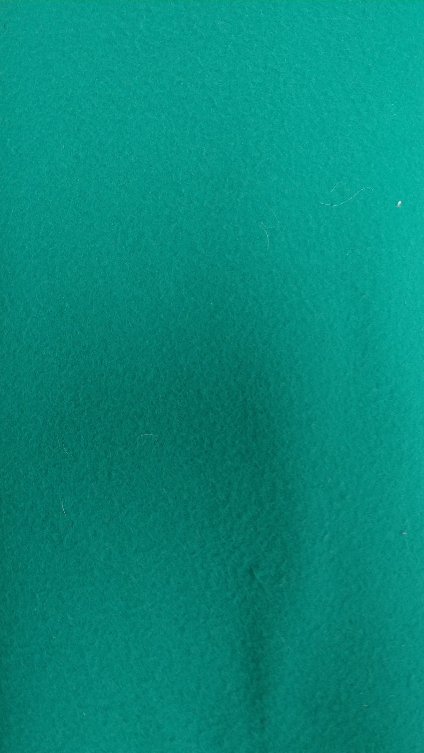 Fleece-Teal (A)