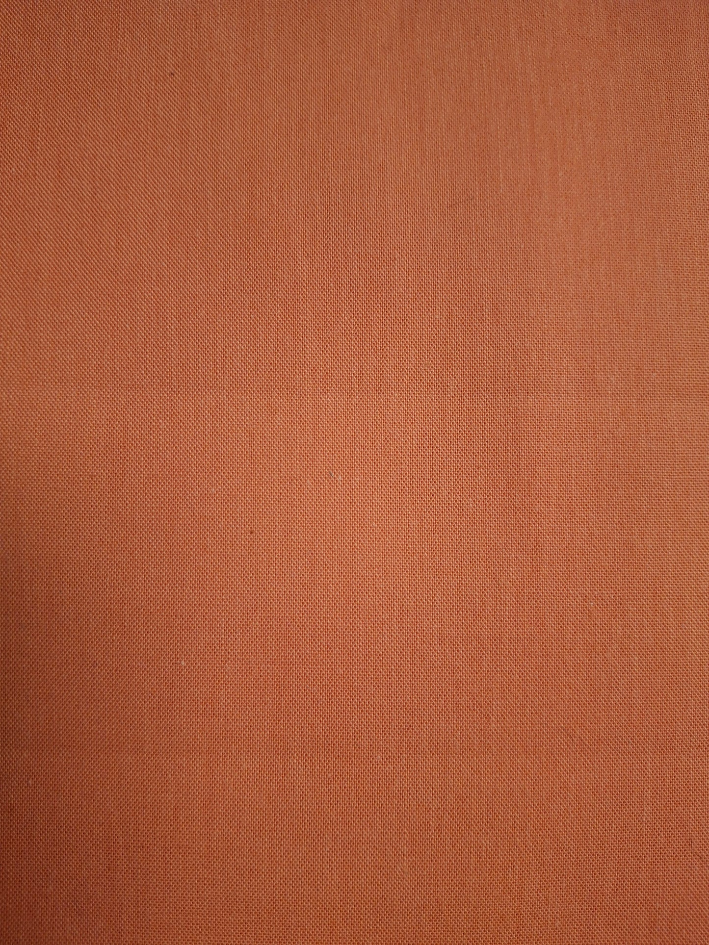 Cirrus Solids - Tangerine 206065 - Organic by Cloud 9 Fabrics