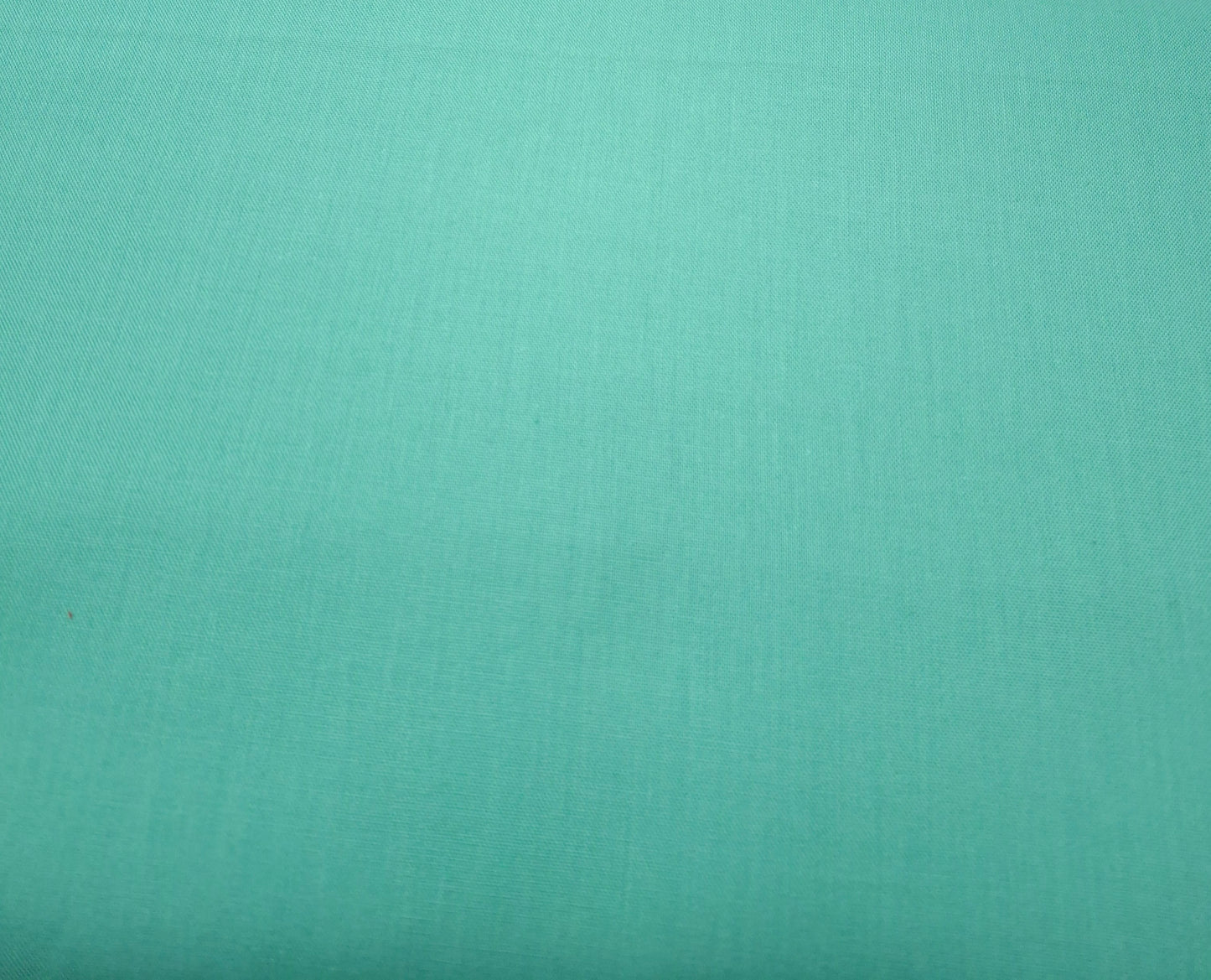 Cirrus Solids - Mint 206060 - Organic by Cloud 9 Fabrics