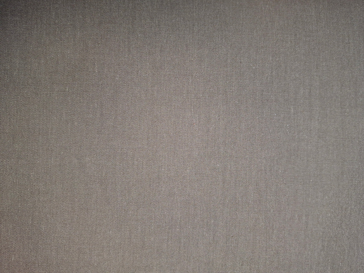 Cirrus Solids - Brown 206063 - Organic by Cloud 9 Fabrics