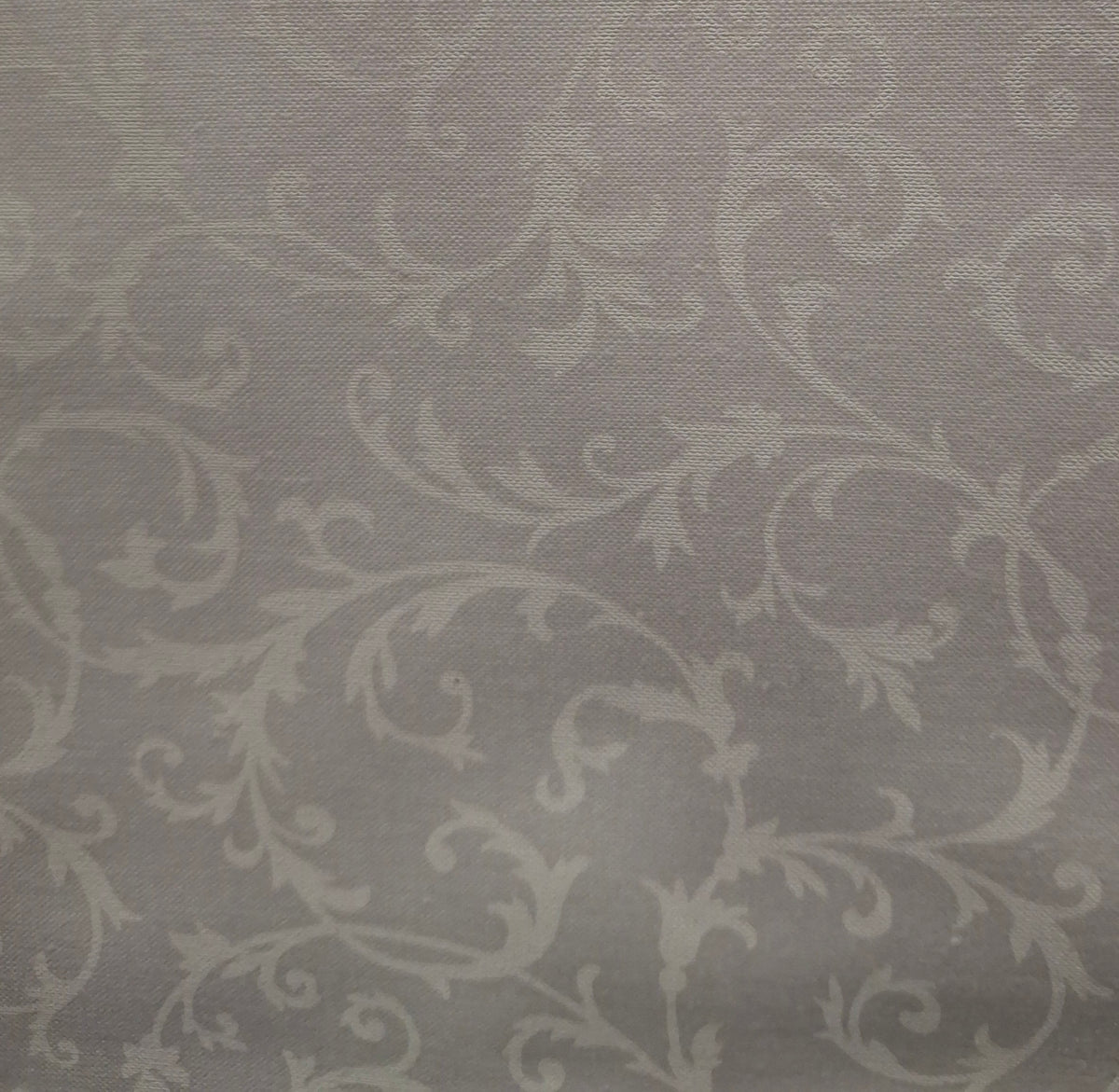 Ramblings 13 Scroll - White on White by P&B Textiles