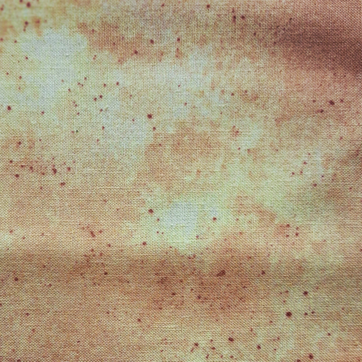 Floral Impressions - Tonal Peach 08673-03 by Kanvas Studio