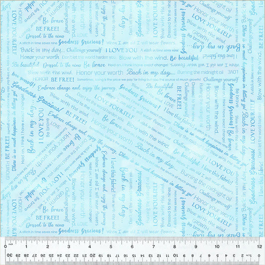 Goodness Gracious - Pale Blue - 53917-21 by Windham Fabrics