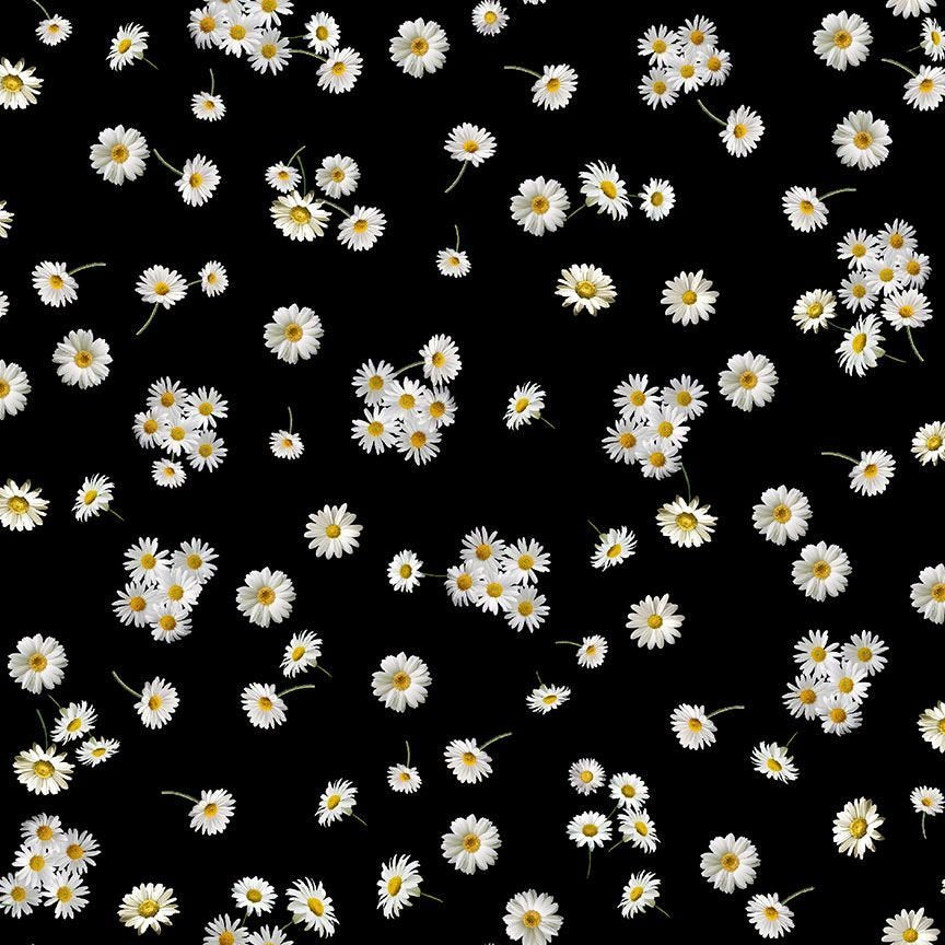 Tossed Daisies on Black - CD2927&nbsp; by Timeless Treasures