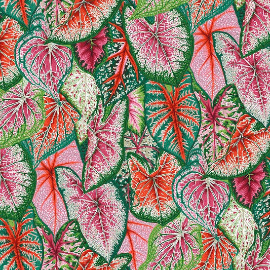 Kaffe Fassett - Caladiums - Bright - Free Spirit