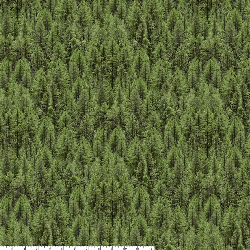 All New England Shop Hop Fabric 2026 - Evergreen 52115D-X by Whistler Studios