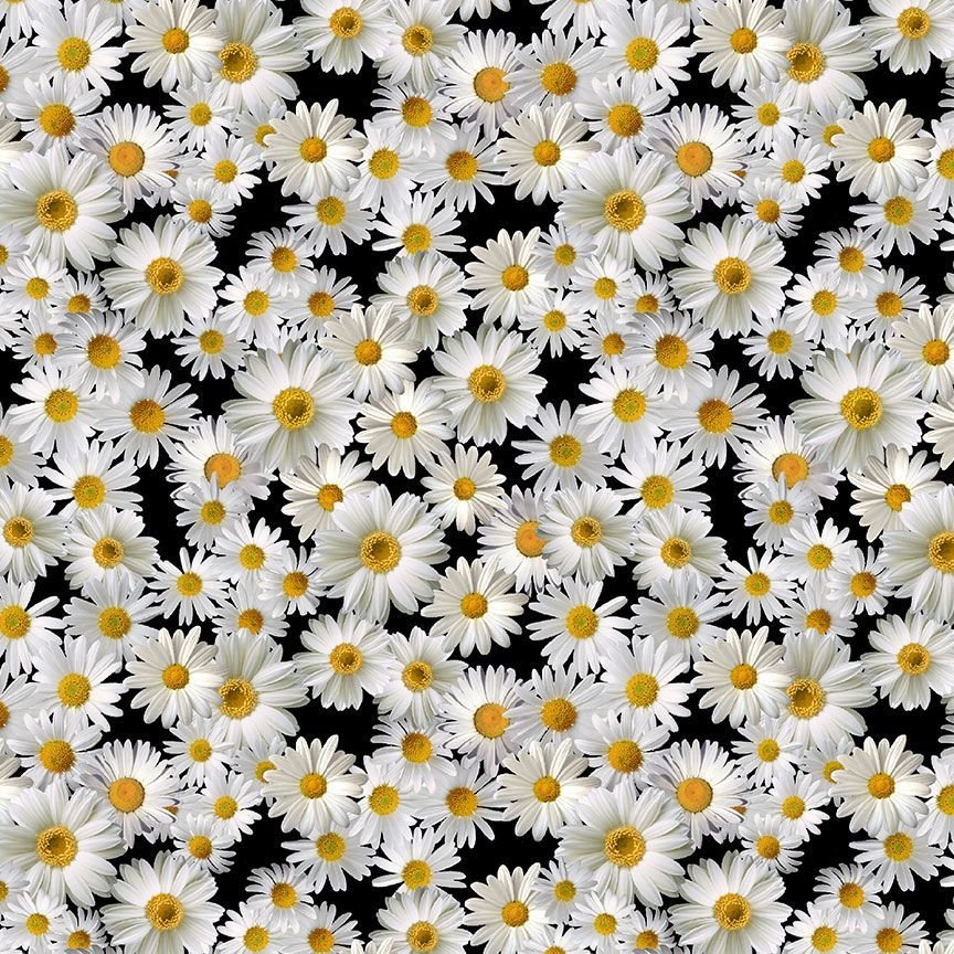 Packed Daisies - Fleur CD2926 Daisies on Black by Timeless Treasures