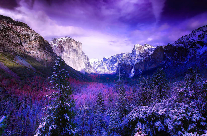Yosemite in Winter - Digitally printed Fabric Panel by Focus On Fabric