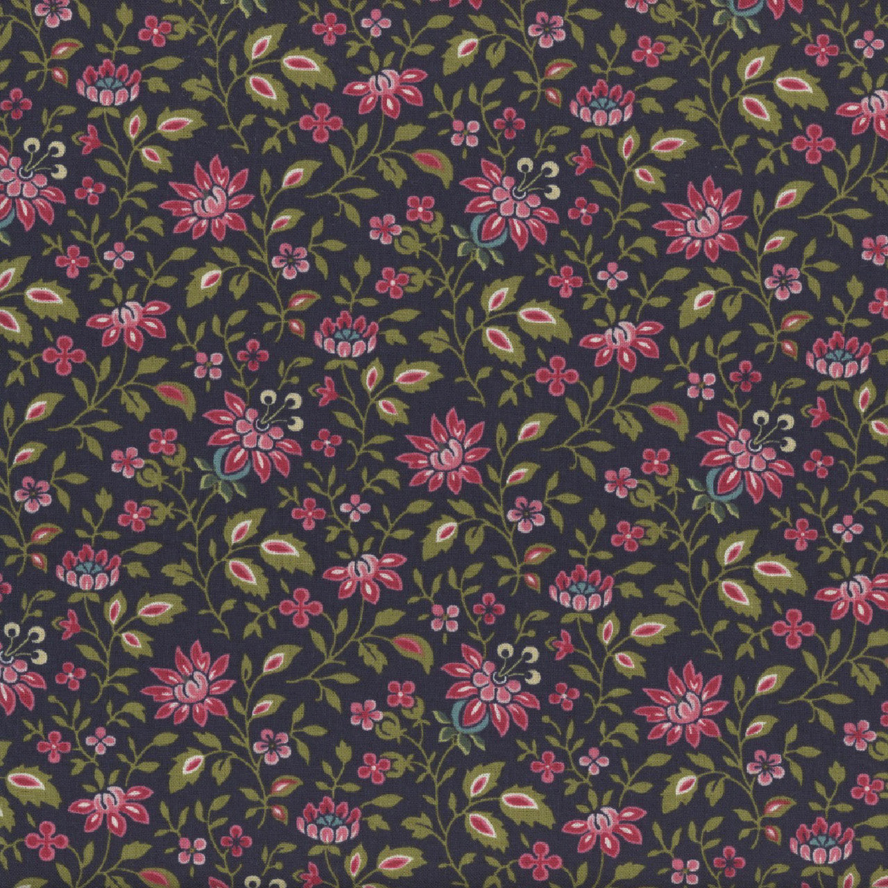 Midnight Meadow - Smithsonian Institution R650842 Navy by Marcus Fabrics