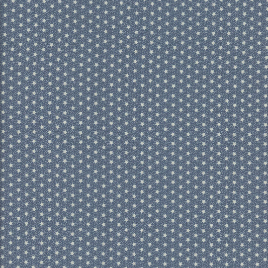 Woof and Warp - Blue Mini Flower R311136D Sheryl Johnson for Marcus Fabrics