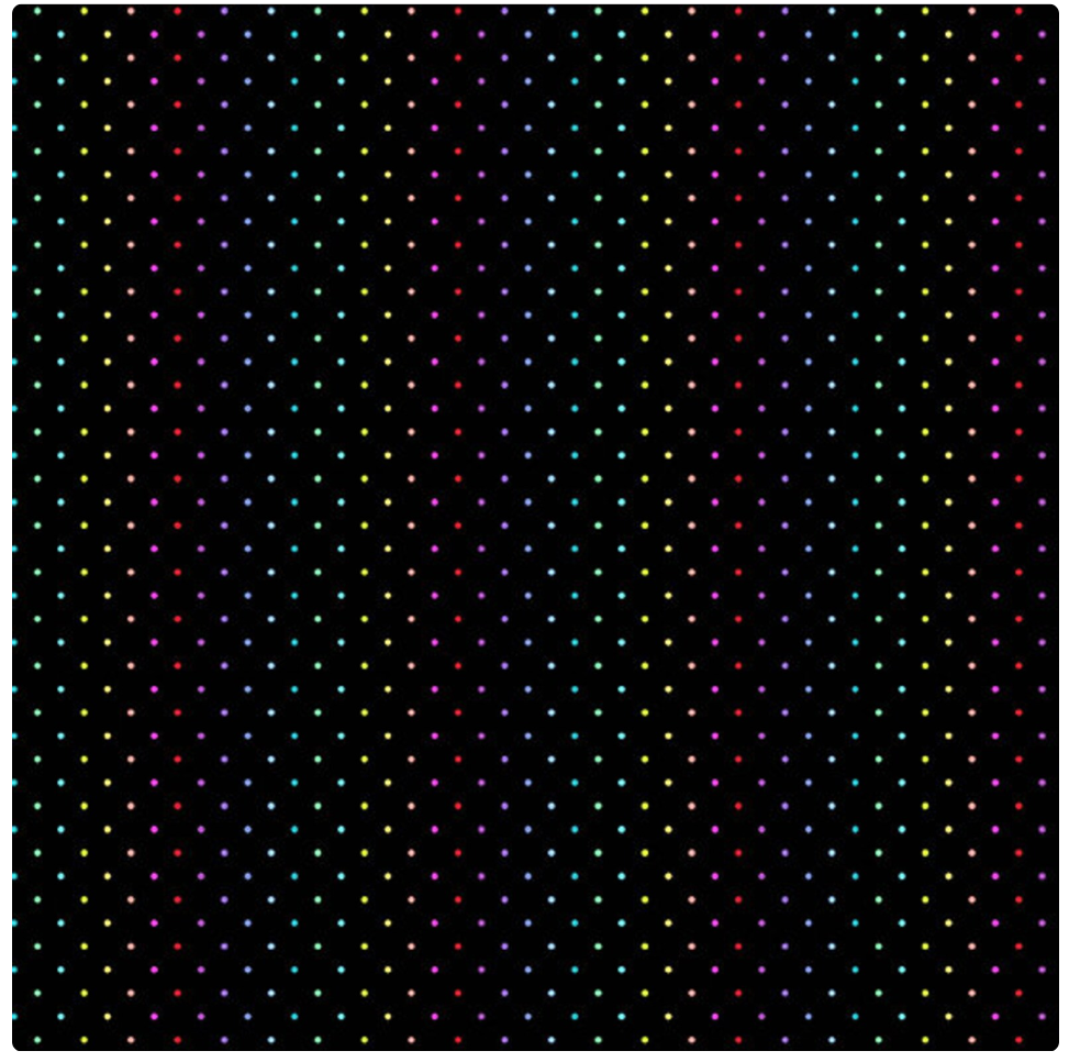 Rainbow Wonderland - Mini Dot in Black by Andover Fabrics