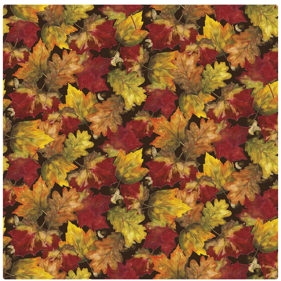 Fall Barn Quilts - Brown by Riley Blake Designs