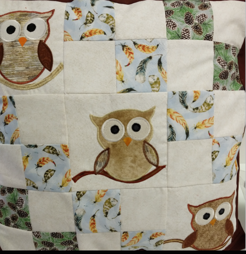 Owl Appliqued Pillow