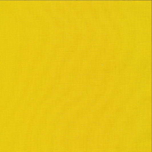 Cirrus Solids - Sprout - Organic 206007 by Cloud 9 Fabrics