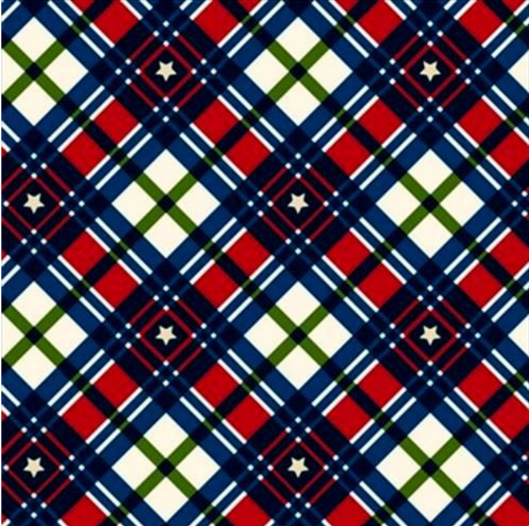 Kick off Your Boots Plaid by Paintbrush Studio