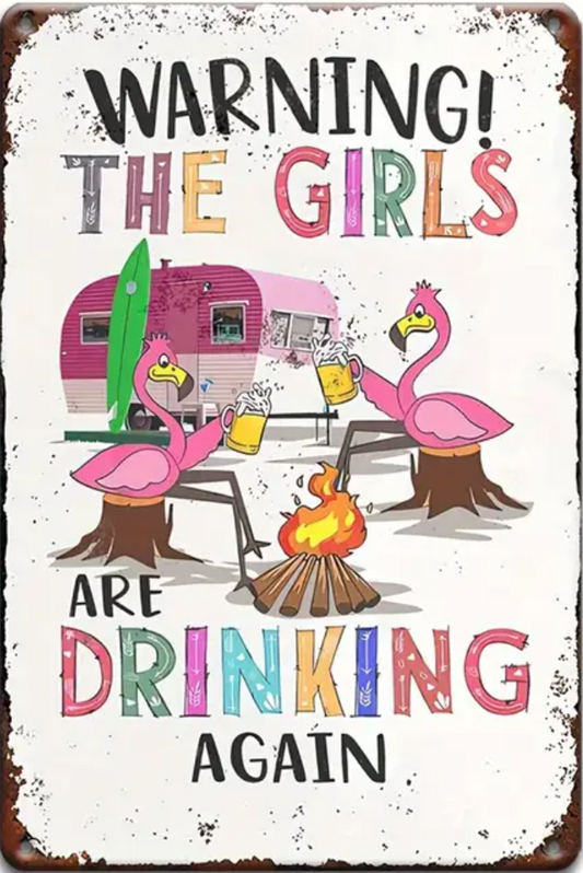 Novelty Sign - Warning! The Girls Are Drinking Again...