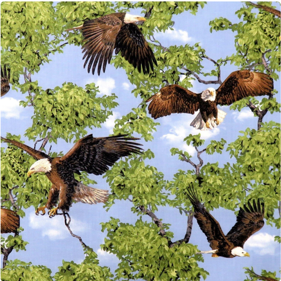 Born Free - Realistic Bald Eagles Tree and Sky 112-31991 by Fabri-Quilt, Inc
