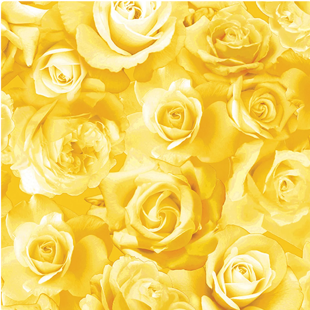 Flowers of Friendship - Roses in Bloom Yellow 14510-33 by Benartex