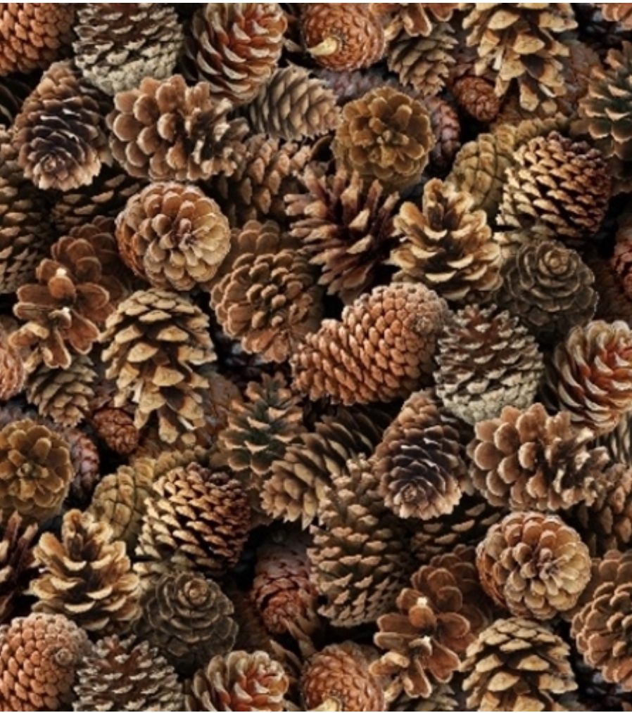 Landscape Medley - Brown Pinecones 454 by Elizabeth's Studio
