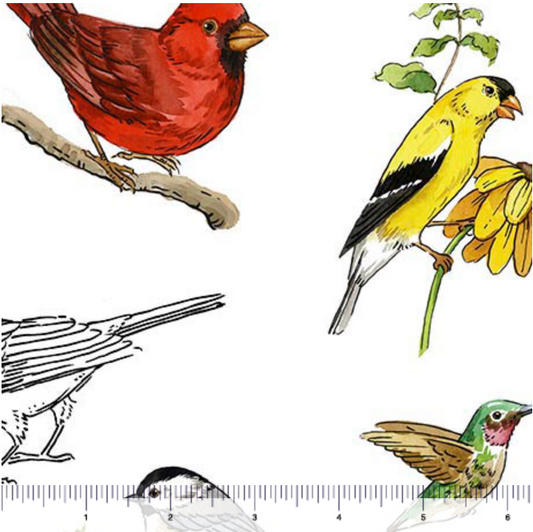 Drawn to Birds - Tossed Birds White 31135-Z By QT Fabrics