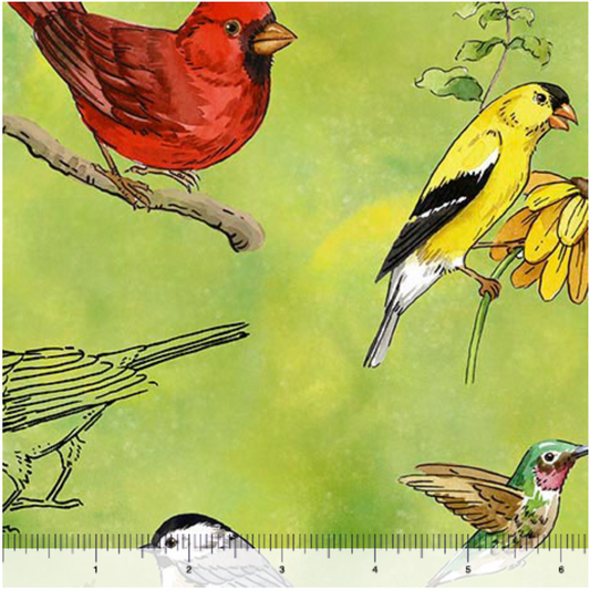 Drawn to Birds - Tossed Birds Lt Green 31135-H By QT Fabrics