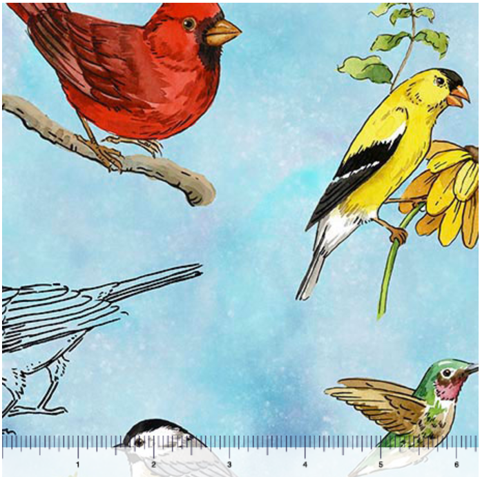 Drawn to Birds - Tossed Birds Sky Blue 31135-B By QT Fabrics