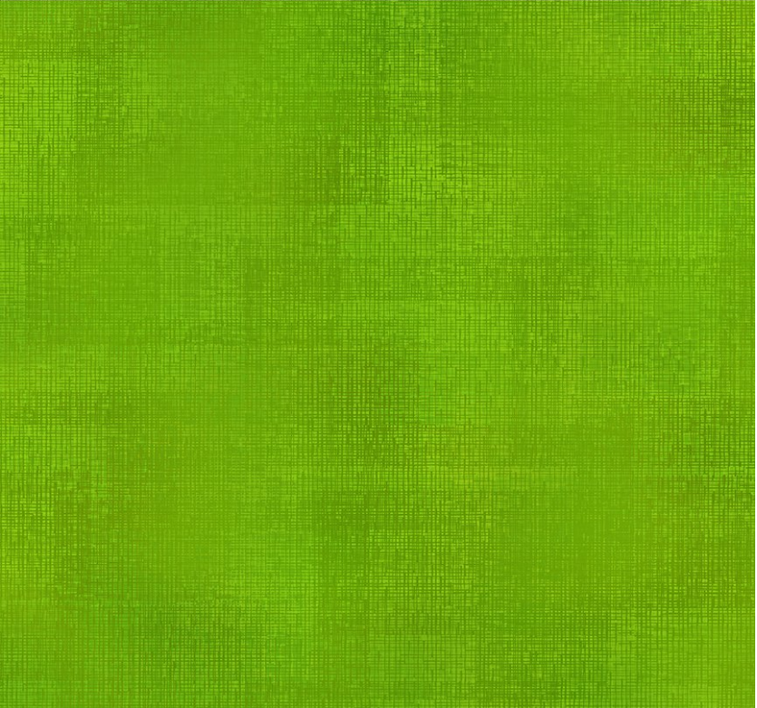Interwoven - 1WVN13-Spring Grass by Jason Yenter for In the Beginning Fabrics