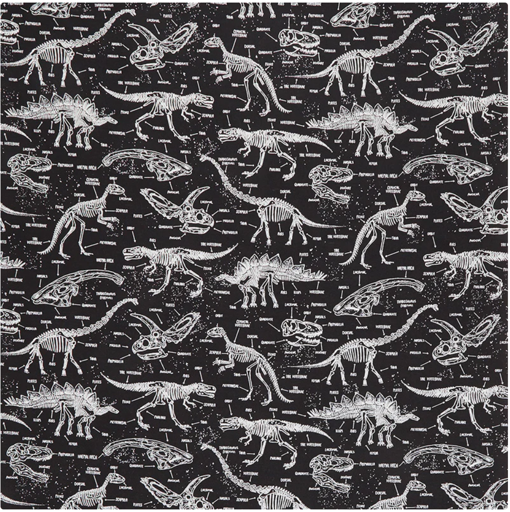 Glow in the Dark - Black Dinosaurs Fosil CG5797 by Timeless Treasures