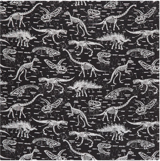 Glow in the Dark - Black Dinosaurs Fosil CG5797 by Timeless Treasures