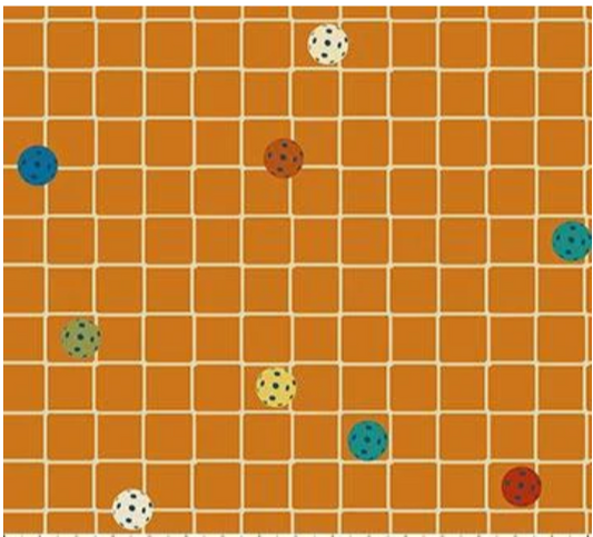 Pickleball - Net & Balls Orange by Northcott